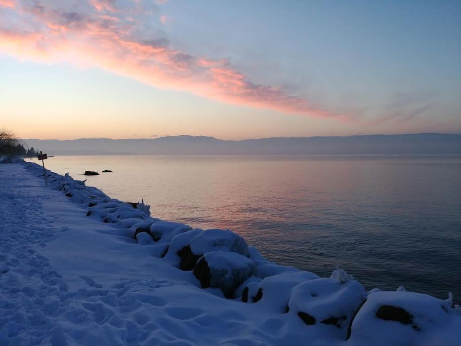 Lakefront. Appartement Pieds Dans L'Eau. View And Direct Access To The Lake. Anthy-sur-Leman Exteriér fotografie