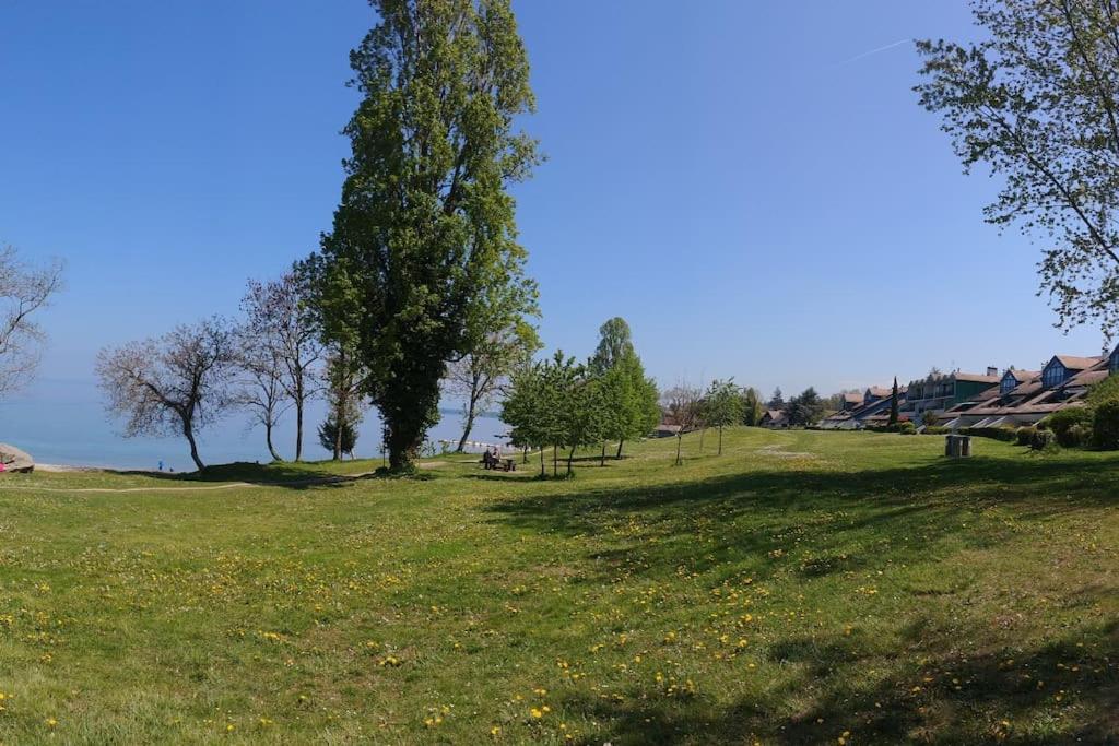 Lakefront. Appartement Pieds Dans L'Eau. View And Direct Access To The Lake. Anthy-sur-Leman Exteriér fotografie